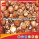 top quality bulk dried chestnut mushroom