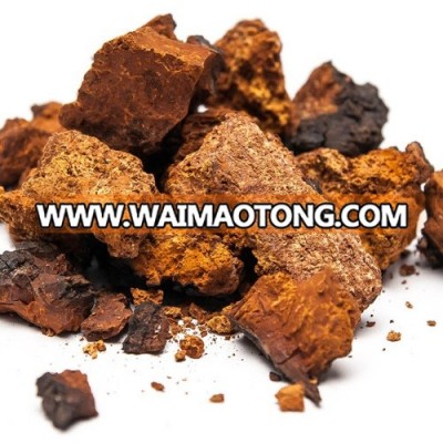 Dried Chaga mushroom high quality medicinal mushroom ingredient for bio supplements medicine organic, medicinal raw material