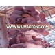 Dried black fungus mushroom High Quality Best Price